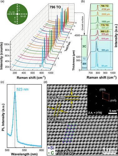 Details are in the caption following the image Details are in the caption following the image
