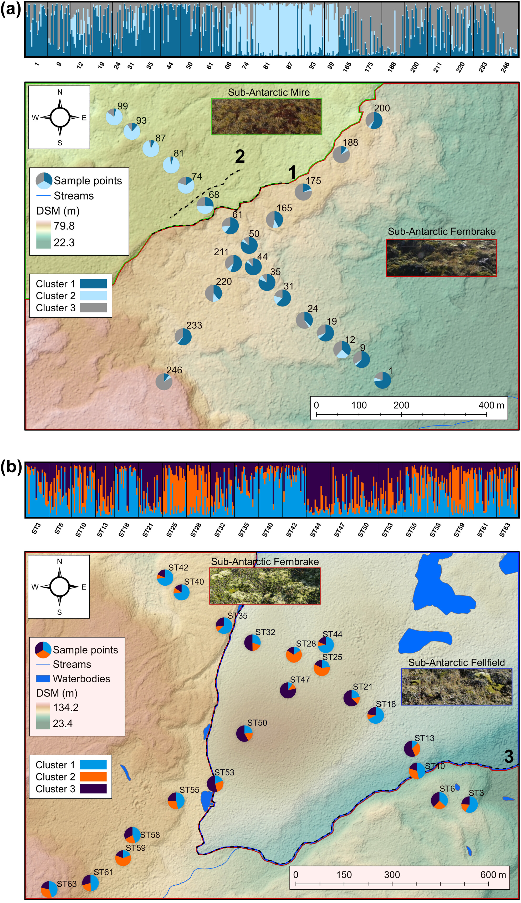 The effect of terrain on the fine-scale genetic diversity of sub-Antarctic Collembola: A landscape genetics approach