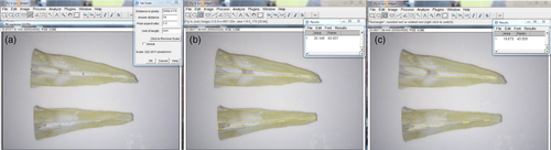 Details are in the caption following the image Details are in the caption following the image
