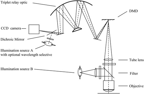 Details are in the caption following the image Details are in the caption following the image