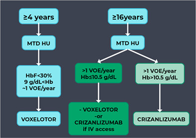 An integrated therapeutic approach to sickle cell disease management beyond infancy