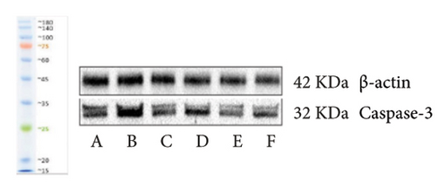 Details are in the caption following the image