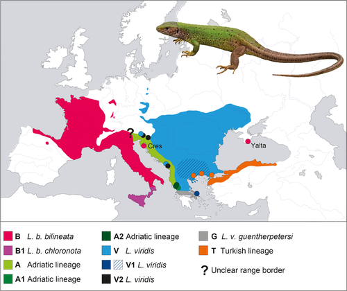 Details are in the caption following the image Details are in the caption following the image