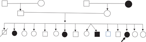 Details are in the caption following the image