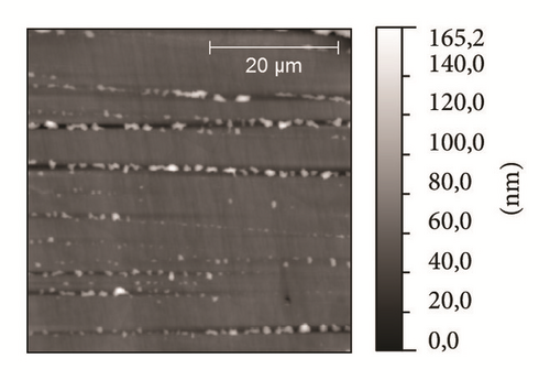 Details are in the caption following the image