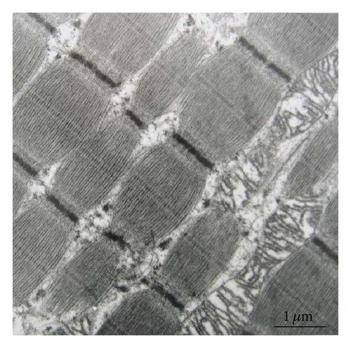 Details are in the caption following the image