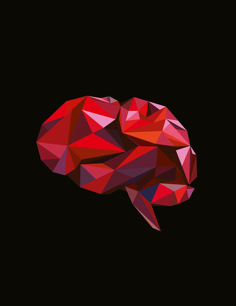 Study on the neuroprotective effects of Genistein on Alzheimer’s disease
