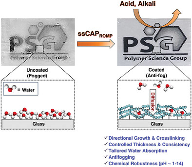 Amphiphilic Nanoscale Antifog Coatings: Improved Chemical Robustness by Continuous Assembly of Polymers