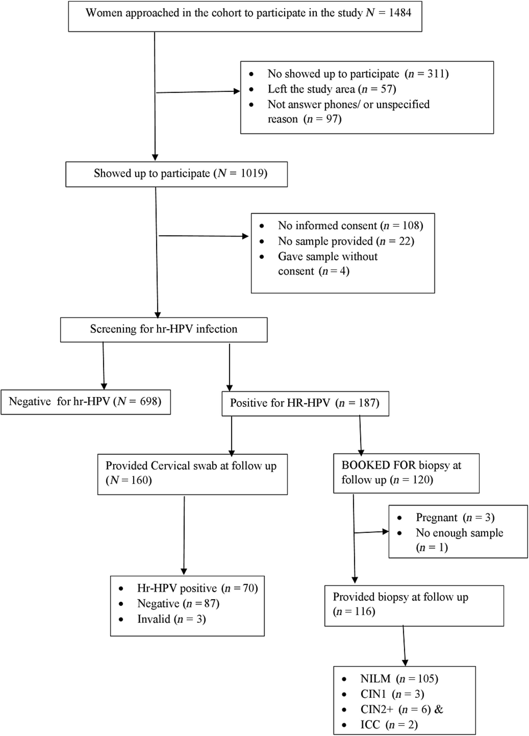 High-risk human papillomavirus genotypes in previously unscreened reproductive-age women in Ethiopia: A community-based cohort study