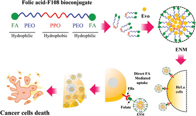 Folate Functionalized and Evodiamine-Loaded Pluronic Nanomicelles for Augmented Cervical Cancer Cell Killing