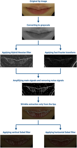 Details are in the caption following the image Details are in the caption following the image