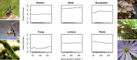 Trade-offs between carbon stocks and biodiversity in European temperate forests