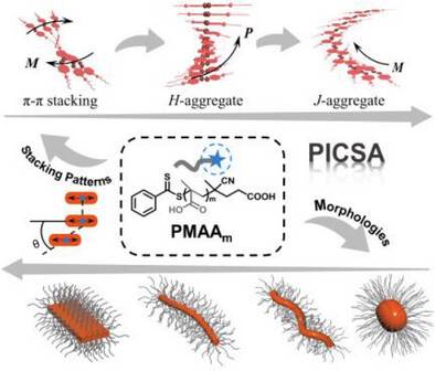 Regulating the Chiroptical Expression of Aggregated Solvophobic Core by Solvophilic Segments