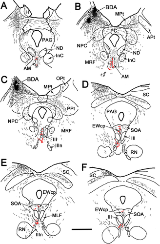 Details are in the caption following the image Details are in the caption following the image