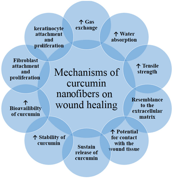 Curcumin nanofibers for the purpose of wound healing