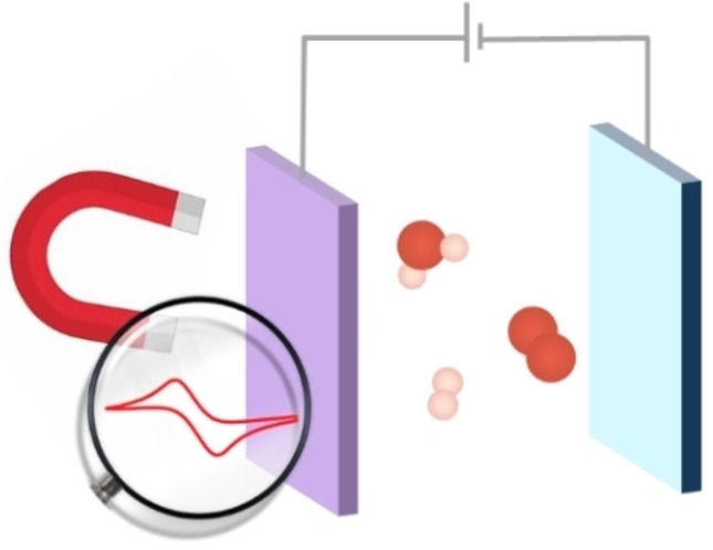 Electrochemistry in Magnetic Fields