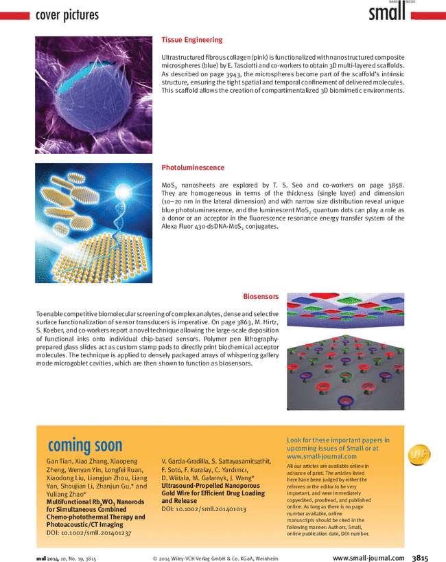 First page image
