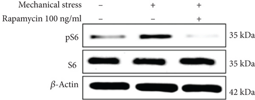 Details are in the caption following the image
