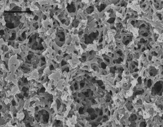 A Review on Gas Separation Applications of Supported Ionic Liquid Membranes