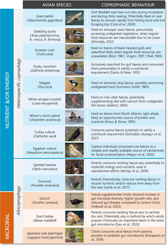 Details are in the caption following the image Details are in the caption following the image