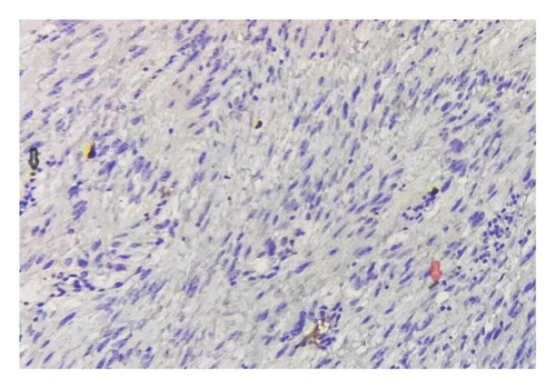 Details are in the caption following the image Details are in the caption following the image