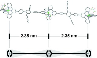 Electrostatic Site Attachment of Divalent Counterions to Rodlike Ruthenium(II) Coordination Polymers Characterized by EPR Spectroscopy
