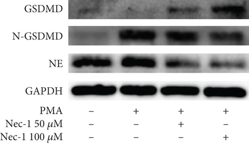 Details are in the caption following the image