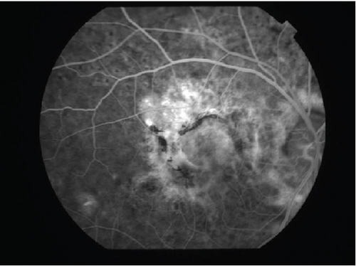 Details are in the caption following the image Details are in the caption following the image