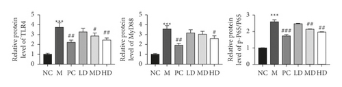 Details are in the caption following the image
