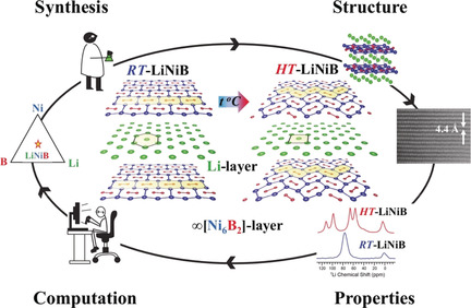 Computationally Driven Discovery of a Family of Layered LiNiB Polymorphs