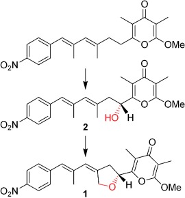 Sequential Asymmetric Polyketide Heterocyclization Catalyzed by a Single Cytochrome P450 Monooxygenase (AurH)