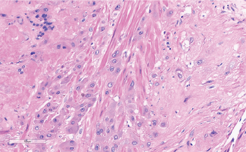 Details are in the caption following the image