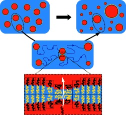 Emulsion Ripening through Molecular Exchange at Droplet Contacts