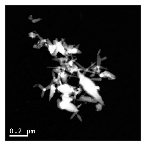 Details are in the caption following the image