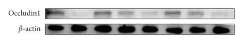 Details are in the caption following the image