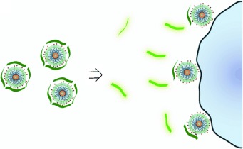 Goldnanopartikel-Fluorophor-Komplexe: empfindliche, selektive “Nasen” für die Biosensorik