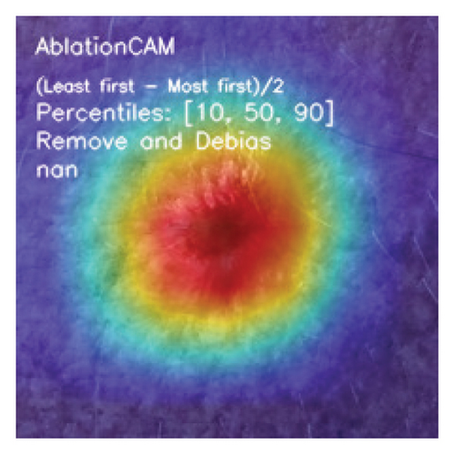 Details are in the caption following the image Details are in the caption following the image