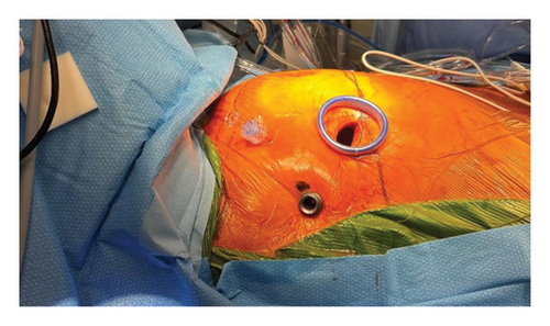 Details are in the caption following the image Details are in the caption following the image
