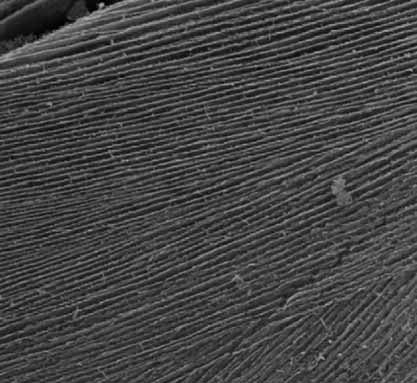 pH Tailoring Electrical and Mechanical Behavior of Polymer–Clay–Nanotube Aerogels