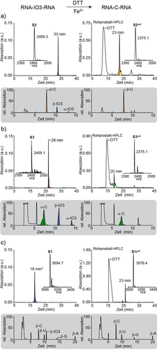 Details are in the caption following the image Details are in the caption following the image