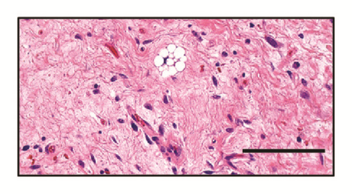 Details are in the caption following the image