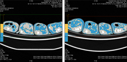 Details are in the caption following the image Details are in the caption following the image