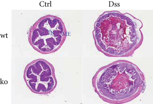 Details are in the caption following the image