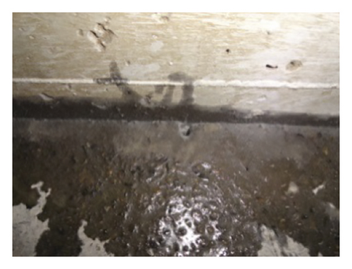 Details are in the caption following the image