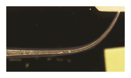 Details are in the caption following the image Details are in the caption following the image