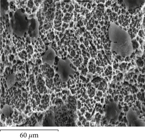Details are in the caption following the image