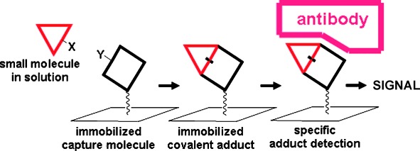 Small-Molecule Sensing: A Direct Enzyme-Linked Immunosorbent Assay for the Monosaccharide Kdo