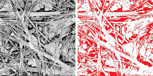 Details are in the caption following the image