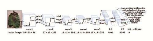 Details are in the caption following the image Details are in the caption following the image