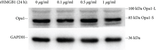Details are in the caption following the image